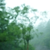 雨滴フィルター１