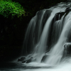 Green leaf and waterfall