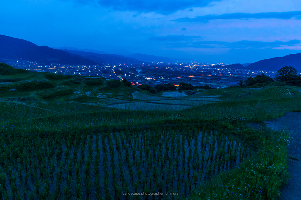 棚田　夜明け前