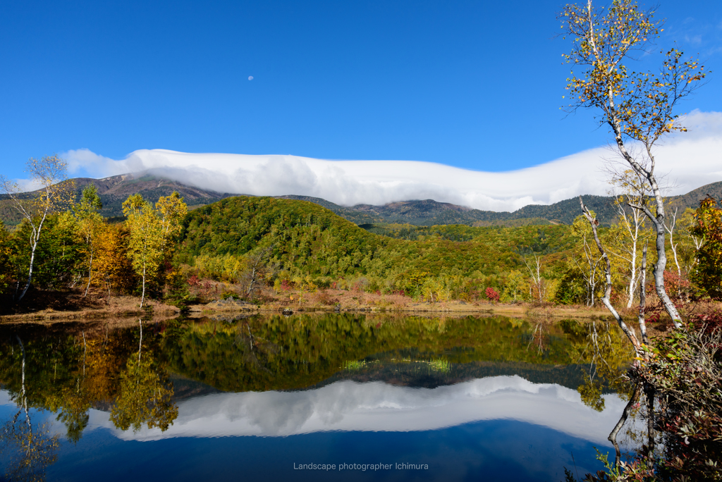 Cloud