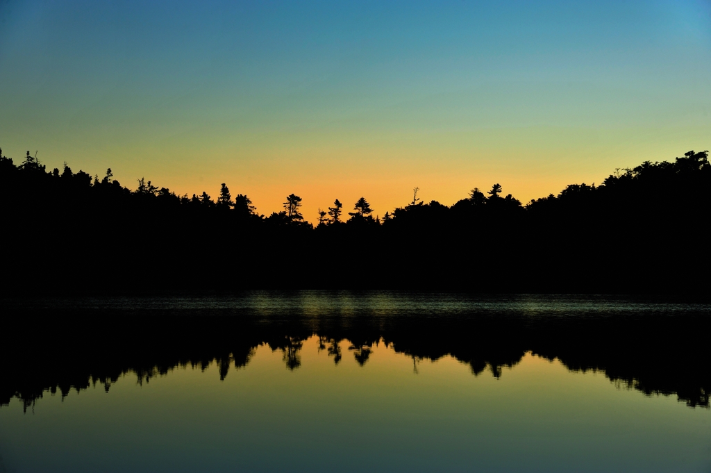 影絵のような！