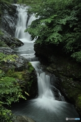 リベンジ＝多留姫の滝＝全景