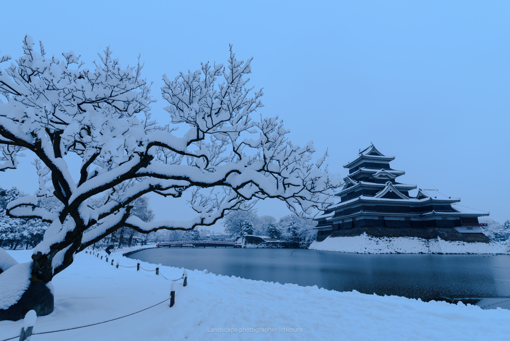 雪の松本城