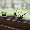 バッタとカマキリ