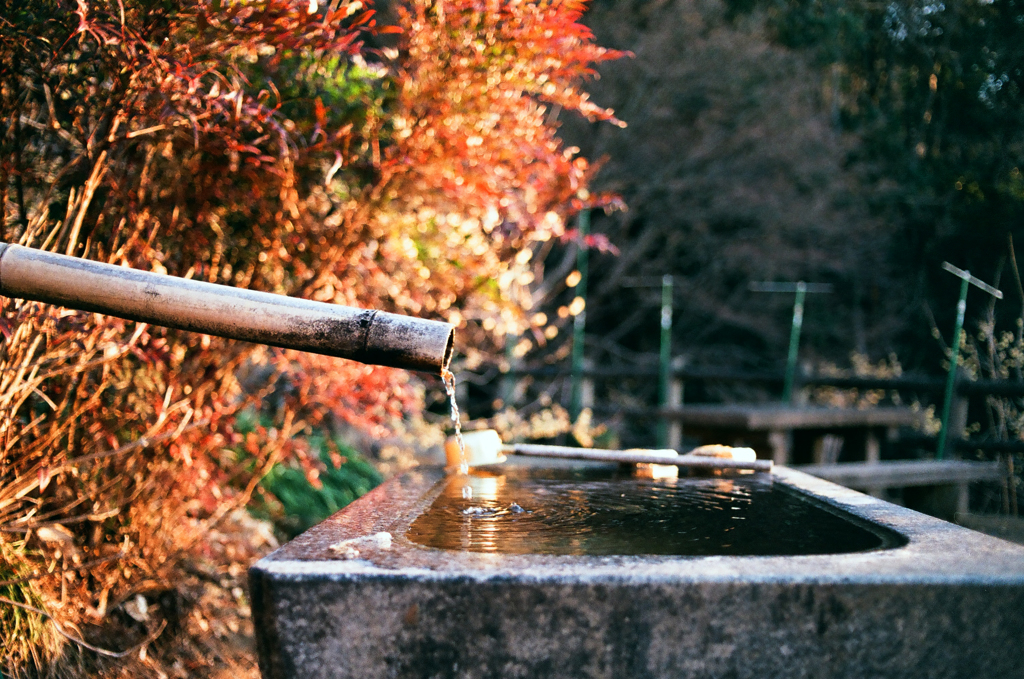 湧き水の手水舎