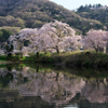 ため池の畔