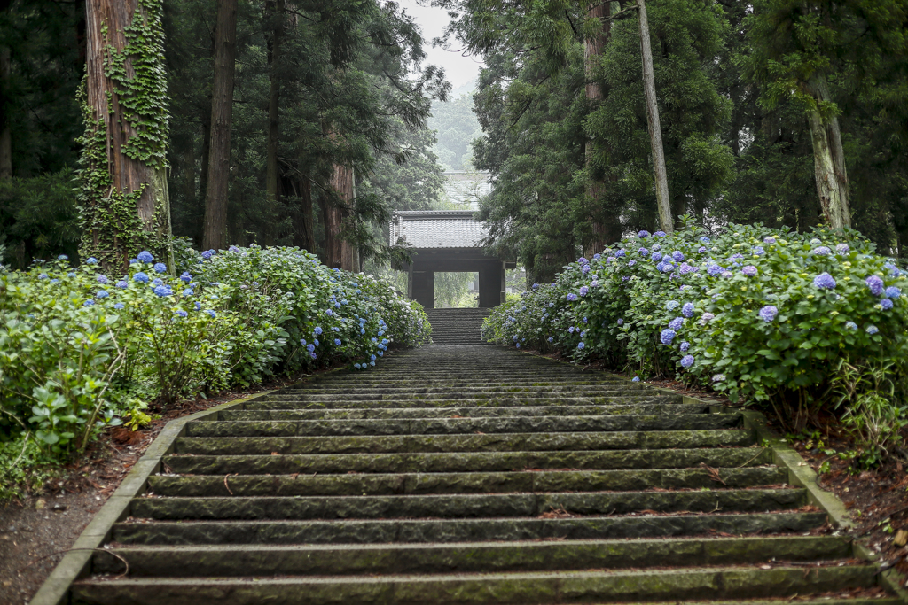 山門