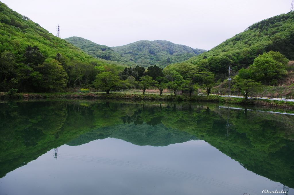 釣り禁止の溜池なのに
