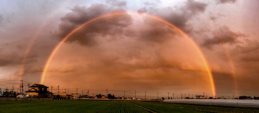 Catch The Rainbow