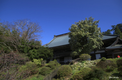 山寺