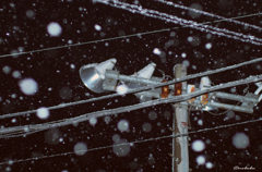 夜の雪