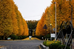 駅を降りてすぐ