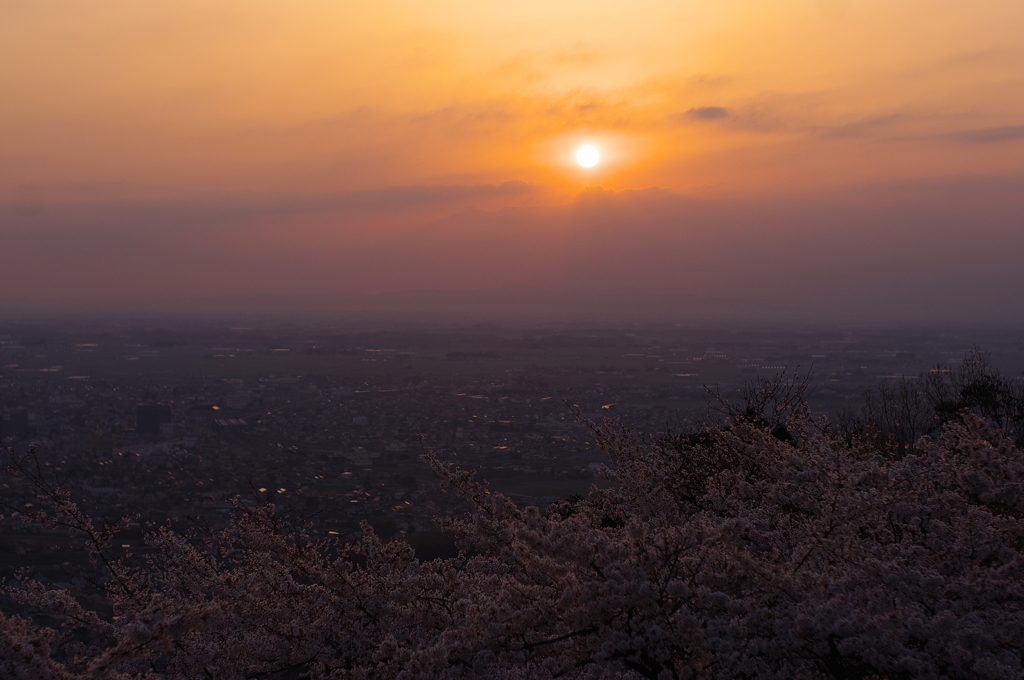 朝陽の中へ