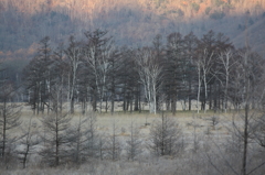 初冬の戦場ヶ原