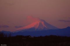 元日の朝日に照らされて