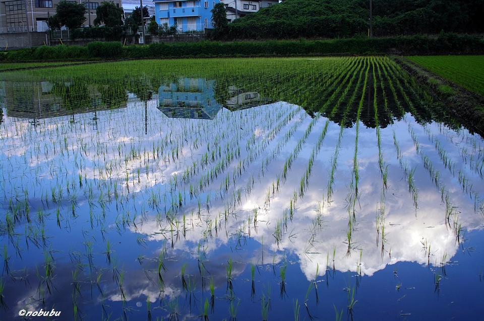 もう一つの青空