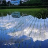 もう一つの青空