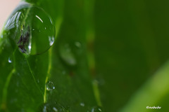 雨の日の楽しみ