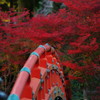 橋