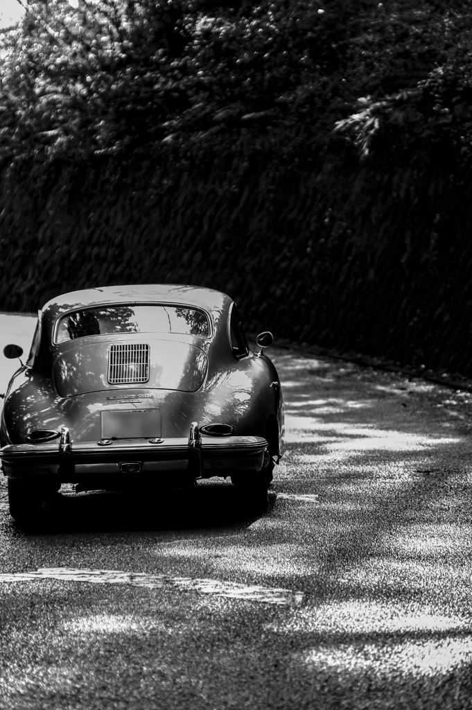 ３５６