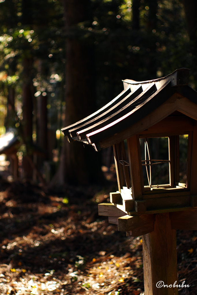 神社にて