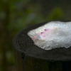 花びらと雪
