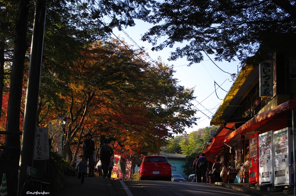 2014紅葉　太平山県立自然公園