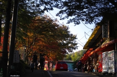 2014紅葉　太平山県立自然公園
