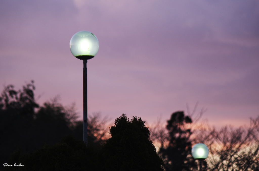 ピンクの空に2つの丸い灯