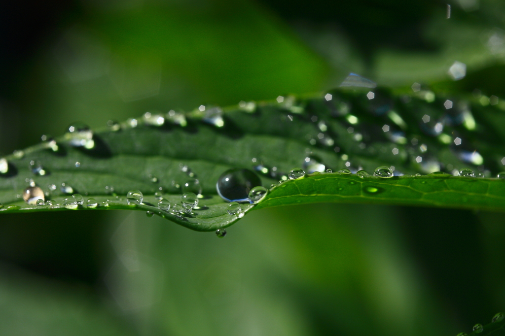 ぽつぽつぽつ・・・