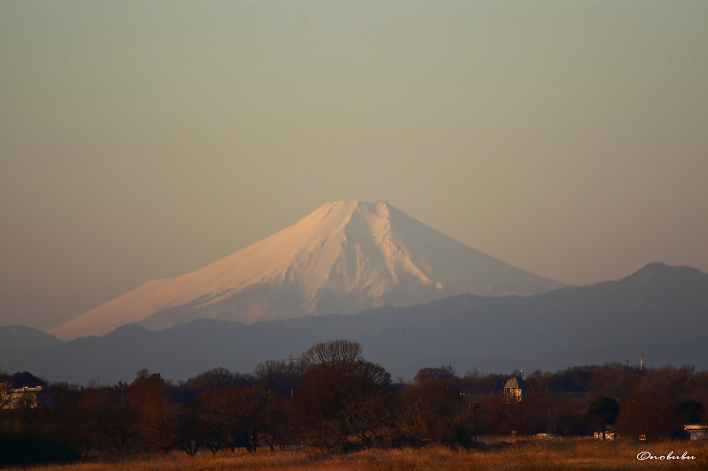 富士