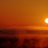 渡良瀬遊水地の日の出2