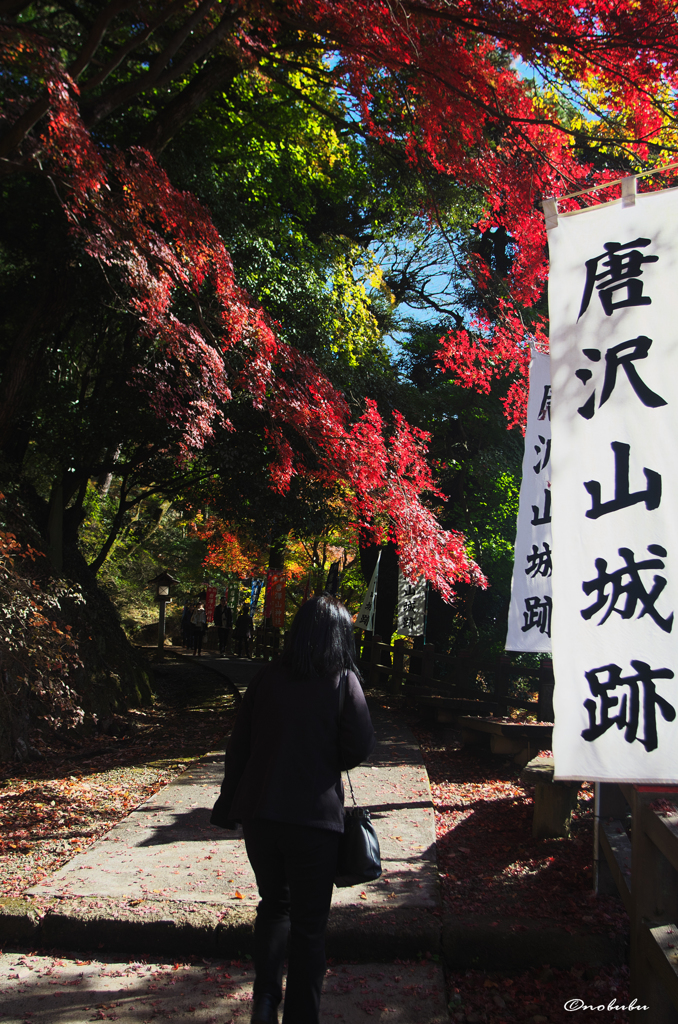 色づく山道