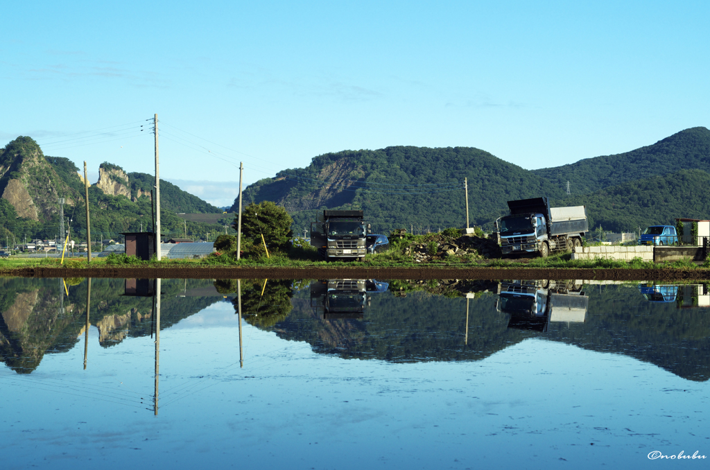 水田