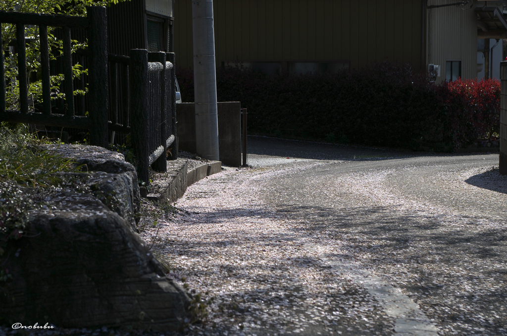 ピンクのカーブ