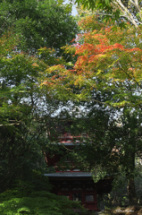三重塔