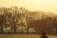 未確認飛行物体