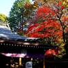 紅葉　唐沢山神社