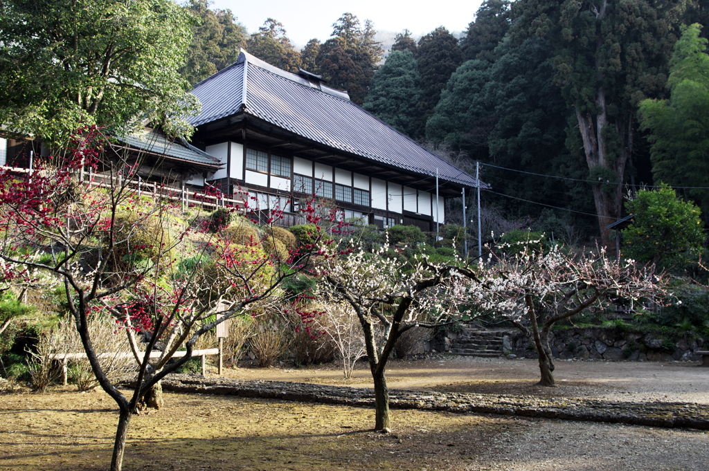 大中寺