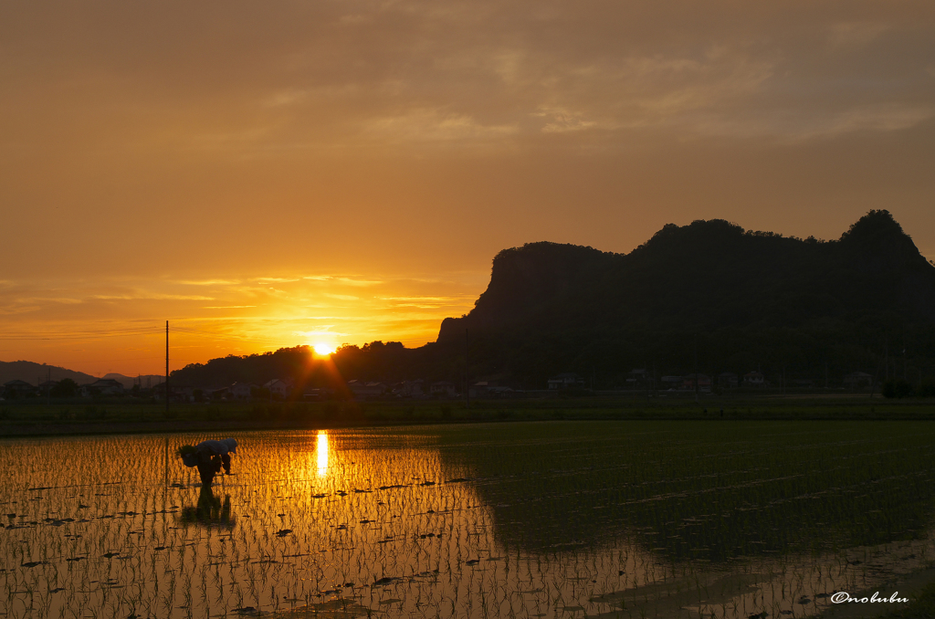 瞼の裏の情景
