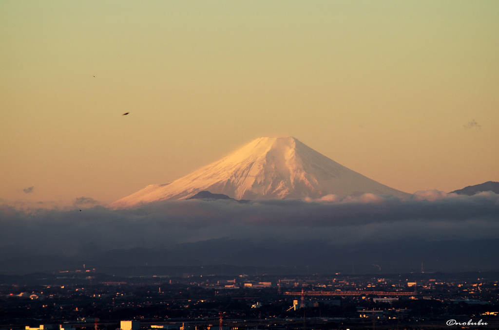 栃木からの富士