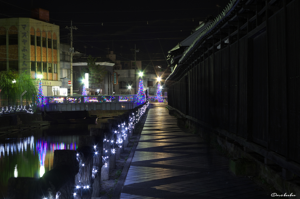 夜の遊歩道