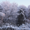 雪化粧