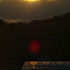 夕方のビニールハウス