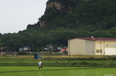 田んぼにて