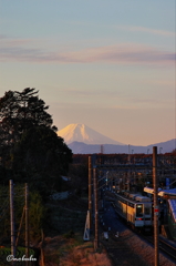 東武日光線と富士山