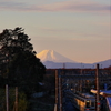 東武日光線と富士山