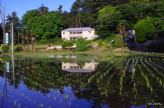 田んぼの世界