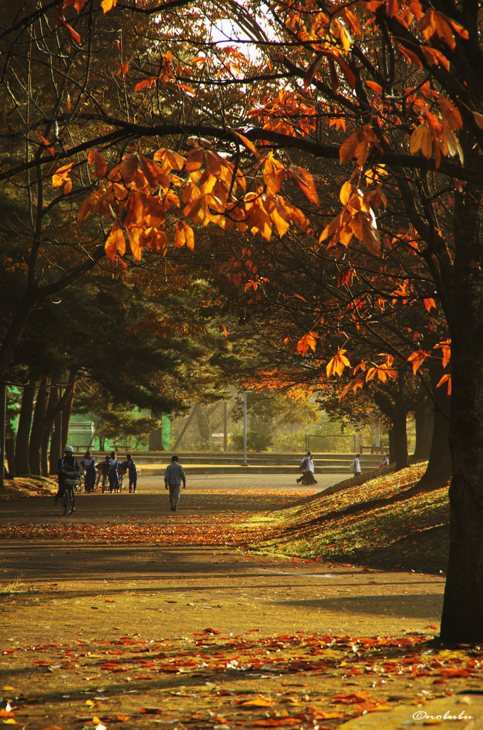 秋の公園