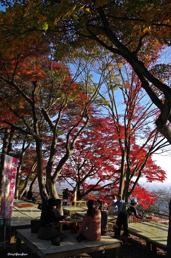 2014紅葉　太平山県立自然公園